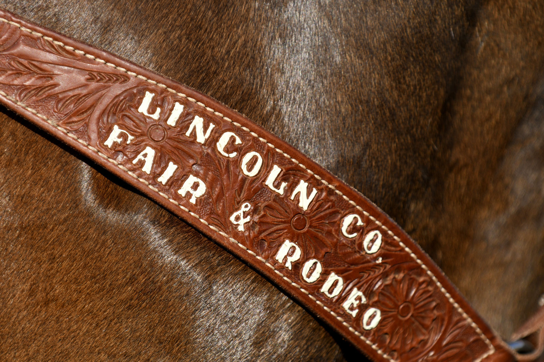 Lincoln County Mini Bull Riding
